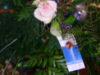 promotie-materialen Bloemistenconcept Chrysal